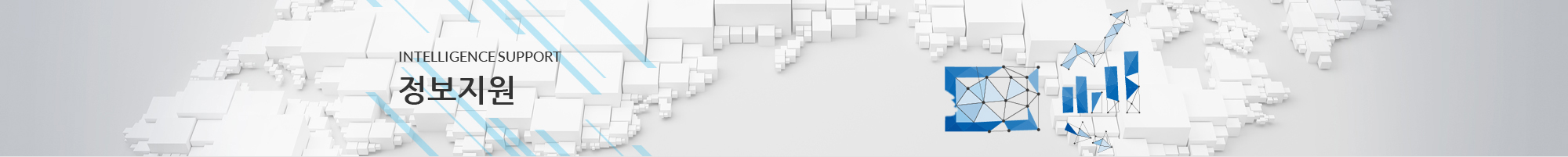 INTELLIGENCE SUPPORT 정보지원